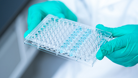 什么是 96 孔板？