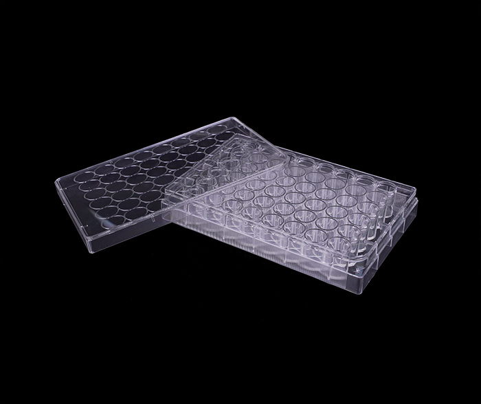 48孔细胞培养板（平底）