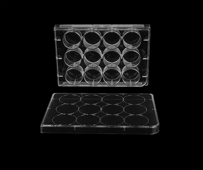 12孔细胞培养板（平底）