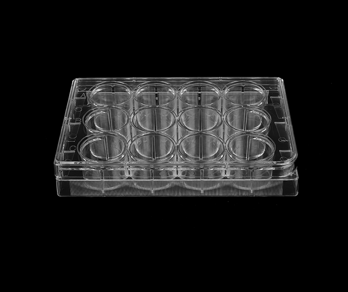 12孔细胞培养板（平底）