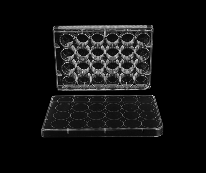 24孔细胞培养板（平底）