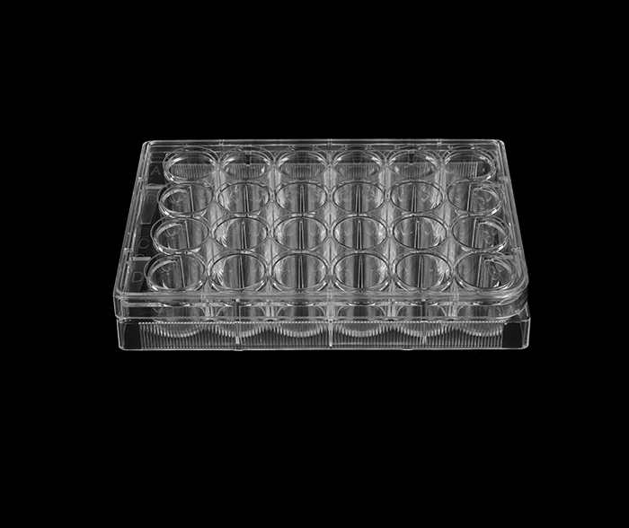 24孔细胞培养板（平底）